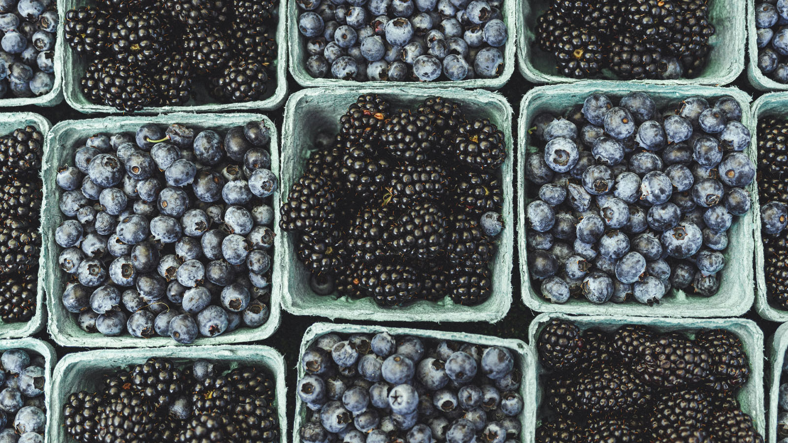 Berries are excellent sources of antioxidants