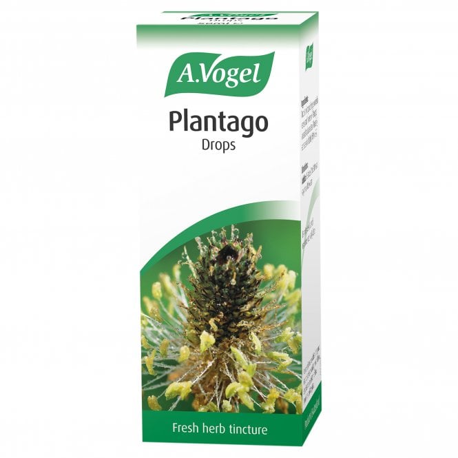 A Vogel Plantago Lanceolata Tincture - 50ml