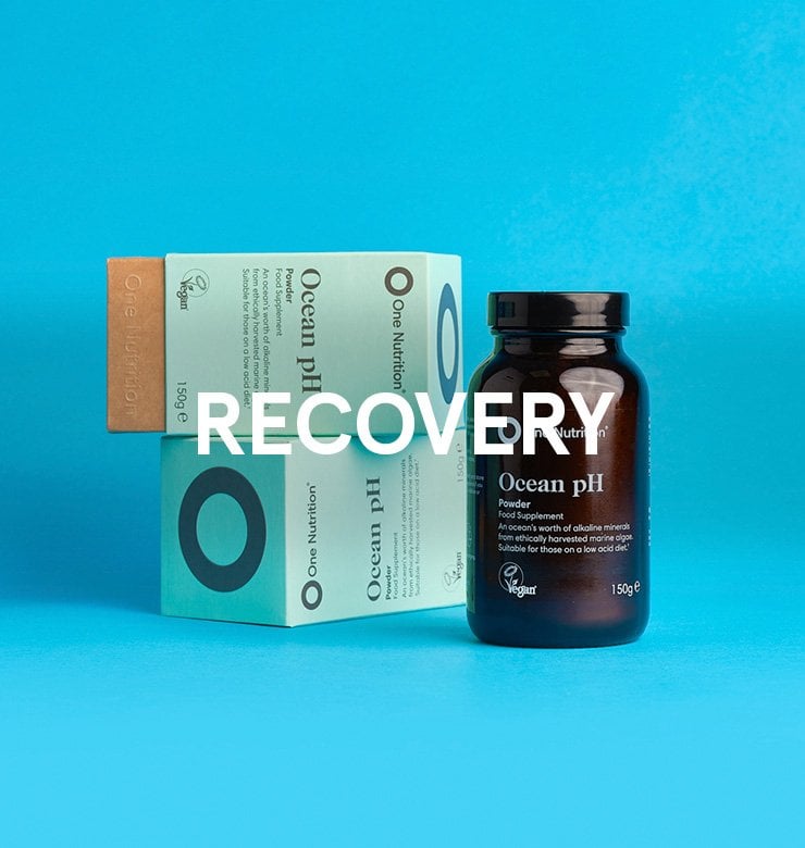 One Nutrition Recovery