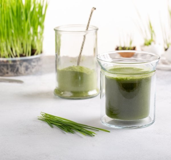 From Chlorella to Wheatgrass