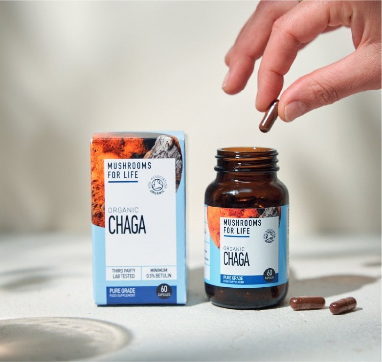 Mushrooms For Life Organic Chaga