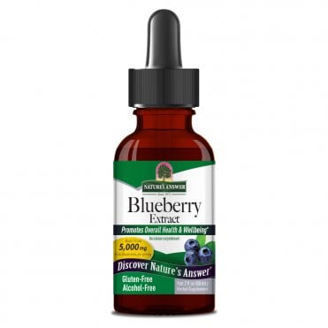 Nature's Answer Alcohol-Free Blueberry Extract - 60ml