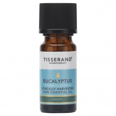 Tisserand Ethically Harvested Eucalyptus Essential Oil - 9ml